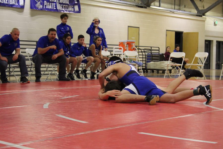 Wrestlers show their strength on the mat