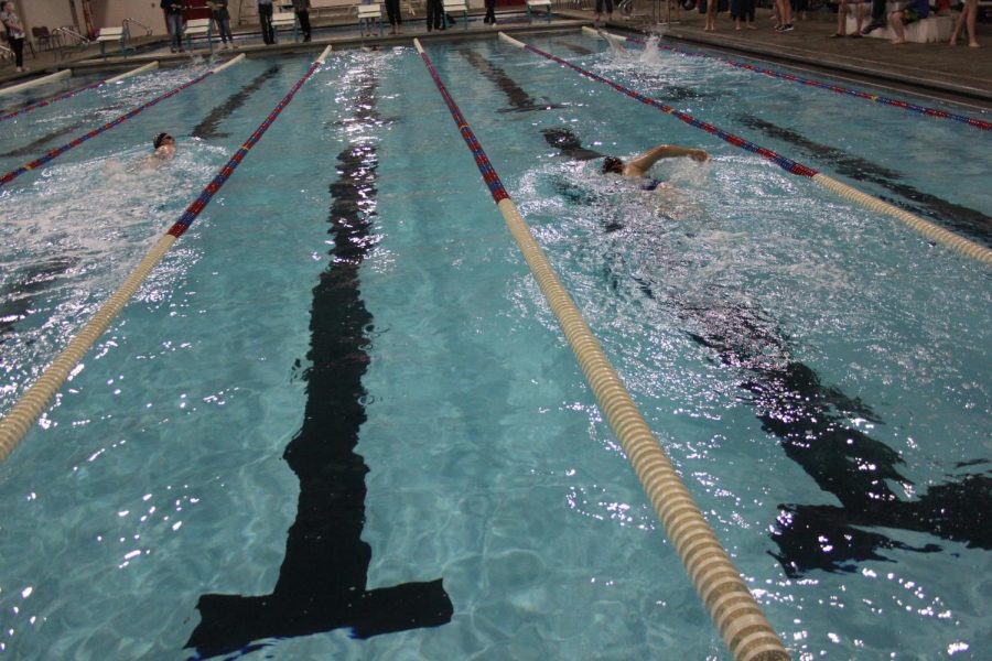 Swimmers take to the water during a meet. Athletes hone their skills by practicing at the Rec center each day during the season. 