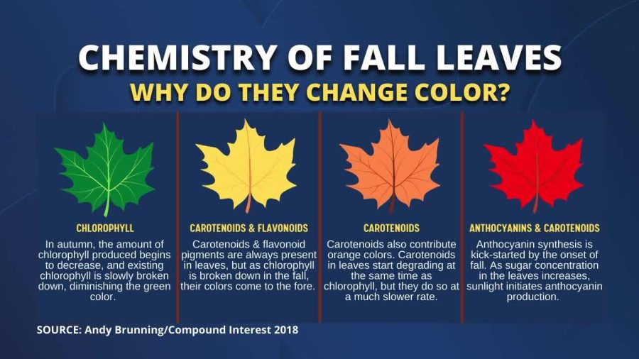 This is the chemistry describing how the leaves change in the fall
Photo by: 23ABC News
